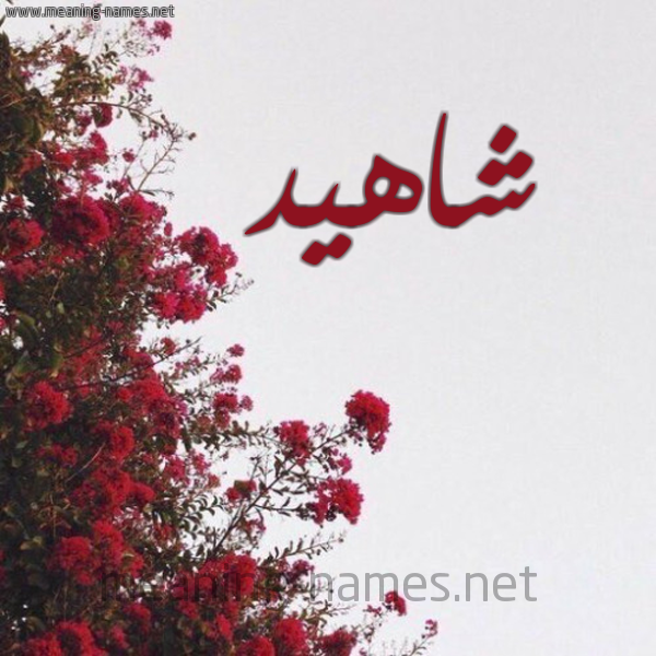 شكل 18 صوره الورد الأحمر للإسم بخط رقعة صورة اسم شاهيد Shahid