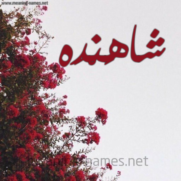 شكل 18 صوره الورد الأحمر للإسم بخط رقعة صورة اسم شاهَنْدَه SHAHANDAH