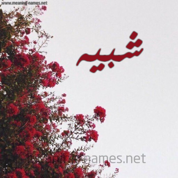شكل 18 صوره الورد الأحمر للإسم بخط رقعة صورة اسم شبيه SHBIH