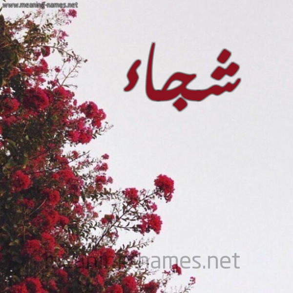 شكل 18 صوره الورد الأحمر للإسم بخط رقعة صورة اسم شجاء SHGAA