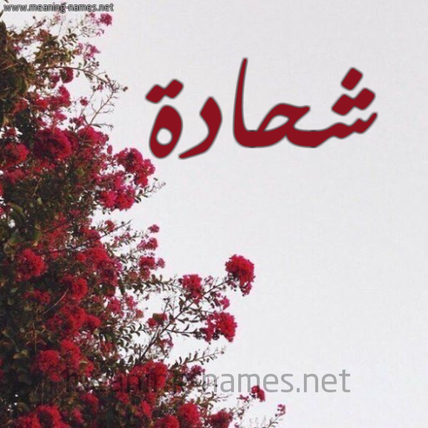 شكل 18 صوره الورد الأحمر للإسم بخط رقعة صورة اسم شحادة SHHADa