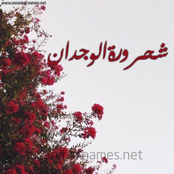 شكل 18 صوره الورد الأحمر للإسم بخط رقعة صورة اسم شحرورةالوجدان Shhrwrhalwjdan