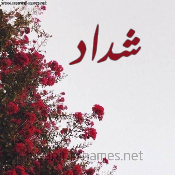 شكل 18 صوره الورد الأحمر للإسم بخط رقعة صورة اسم شداد Shdad