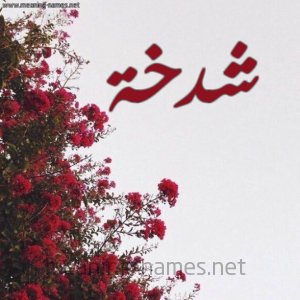 شكل 18 صوره الورد الأحمر للإسم بخط رقعة صورة اسم شدخة Shdkhh