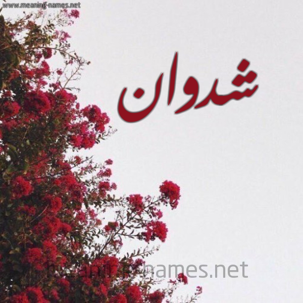 شكل 18 صوره الورد الأحمر للإسم بخط رقعة صورة اسم شدوان Shdoan