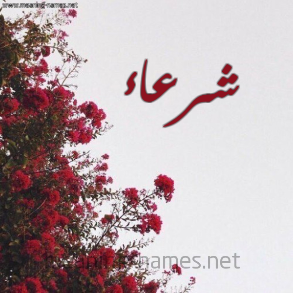 شكل 18 صوره الورد الأحمر للإسم بخط رقعة صورة اسم شرعاء Shr'a'a