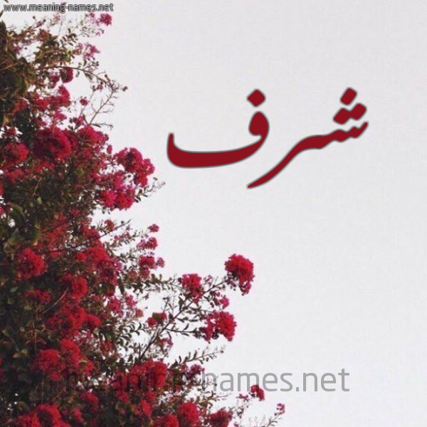شكل 18 صوره الورد الأحمر للإسم بخط رقعة صورة اسم شرف Shrf