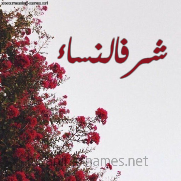 شكل 18 صوره الورد الأحمر للإسم بخط رقعة صورة اسم شرفالنساء Shrfalnsa'a