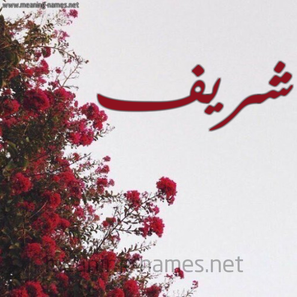 شكل 18 صوره الورد الأحمر للإسم بخط رقعة صورة اسم شريف Shrief