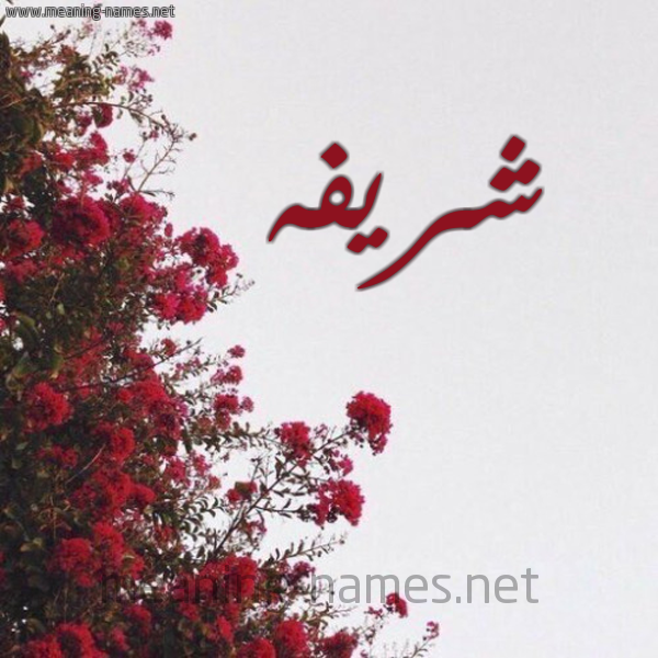 شكل 18 صوره الورد الأحمر للإسم بخط رقعة صورة اسم شريفه Shrifa