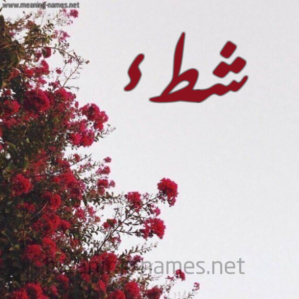 شكل 18 صوره الورد الأحمر للإسم بخط رقعة صورة اسم شطء Sht'a