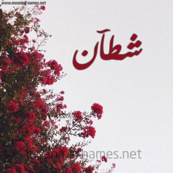 شكل 18 صوره الورد الأحمر للإسم بخط رقعة صورة اسم شطآن Sht'aan