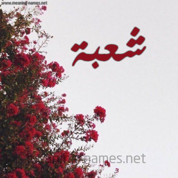 شكل 18 صوره الورد الأحمر للإسم بخط رقعة صورة اسم شعبة Sh'bh