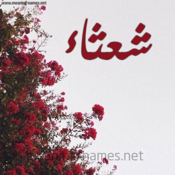 شكل 18 صوره الورد الأحمر للإسم بخط رقعة صورة اسم شعثاء SHATHAA