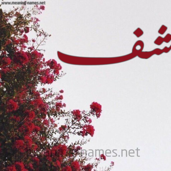 شكل 18 صوره الورد الأحمر للإسم بخط رقعة صورة اسم شف Shf