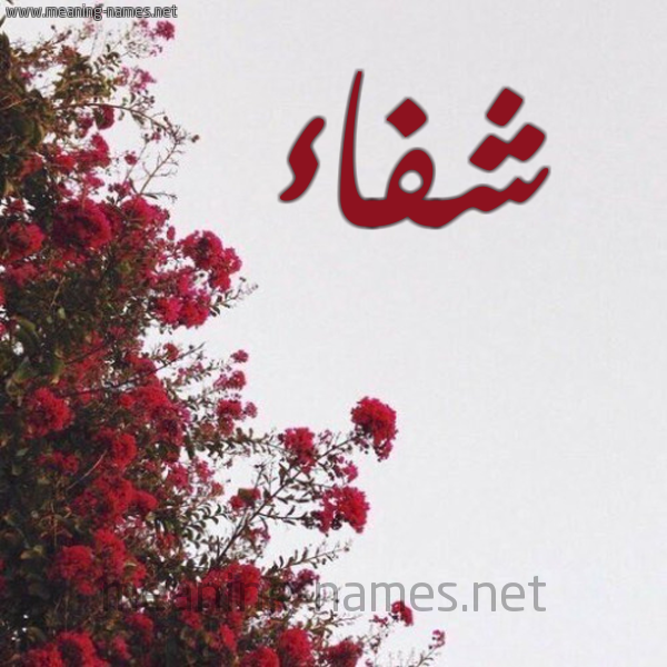 شكل 18 صوره الورد الأحمر للإسم بخط رقعة صورة اسم شفاء Sehfaa