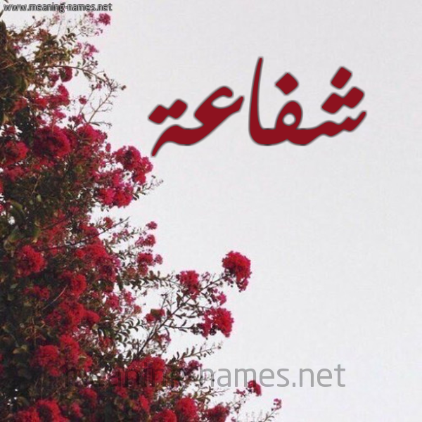 شكل 18 صوره الورد الأحمر للإسم بخط رقعة صورة اسم شفاعة Shfaah
