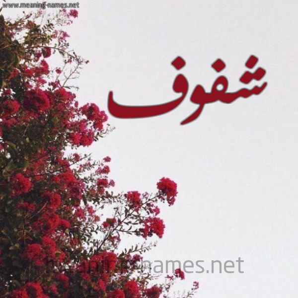 شكل 18 صوره الورد الأحمر للإسم بخط رقعة صورة اسم شفوف Shfwf
