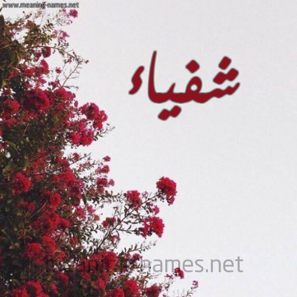 شكل 18 صوره الورد الأحمر للإسم بخط رقعة صورة اسم شفياء Shfya'a