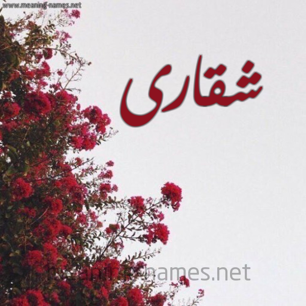 شكل 18 صوره الورد الأحمر للإسم بخط رقعة صورة اسم شقارى Shqara