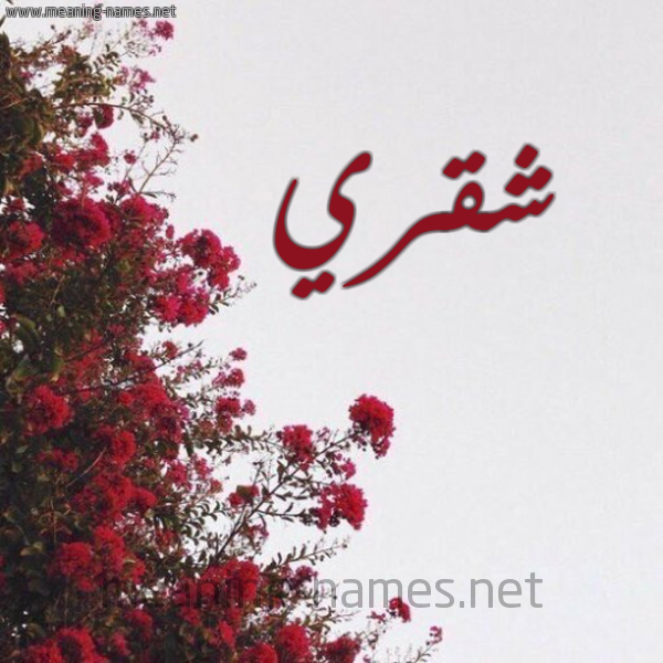 شكل 18 صوره الورد الأحمر للإسم بخط رقعة صورة اسم شقري Shqry