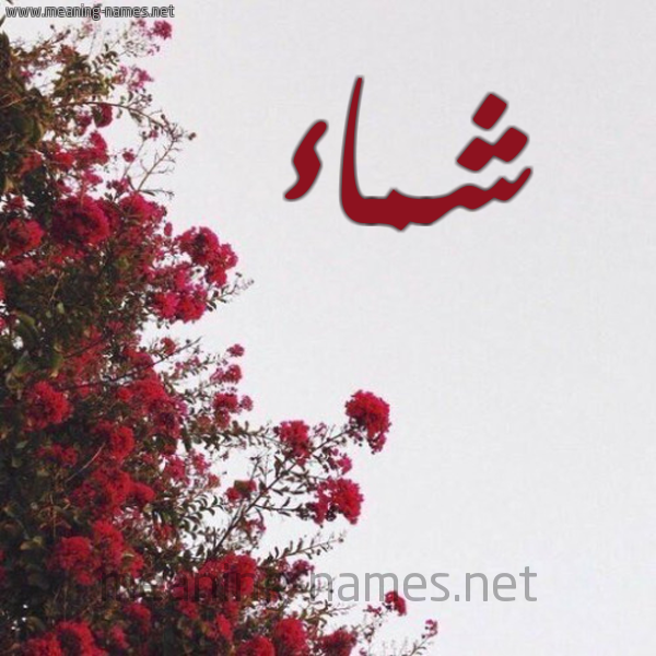 شكل 18 صوره الورد الأحمر للإسم بخط رقعة صورة اسم شماء Shmaa