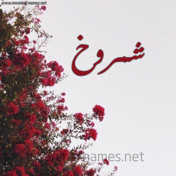 شكل 18 صوره الورد الأحمر للإسم بخط رقعة صورة اسم شمروخ Shmrwkh
