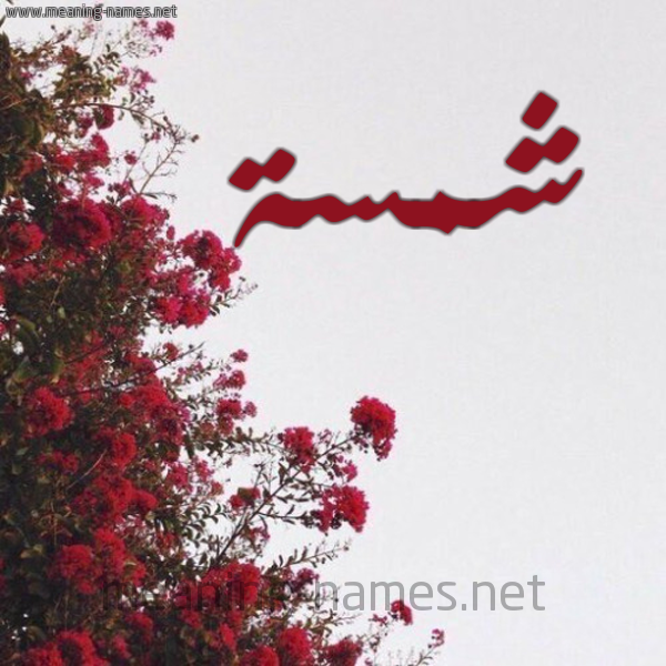 شكل 18 صوره الورد الأحمر للإسم بخط رقعة صورة اسم شمسة Shmsa