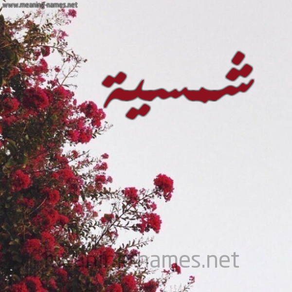 شكل 18 صوره الورد الأحمر للإسم بخط رقعة صورة اسم شمسية شَمْسَيةُ-Shmsyh