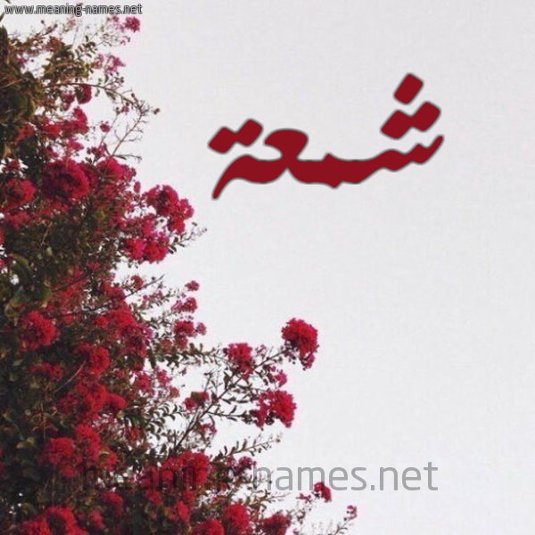 شكل 18 صوره الورد الأحمر للإسم بخط رقعة صورة اسم شمعة Shm'h