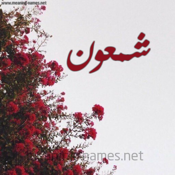 شكل 18 صوره الورد الأحمر للإسم بخط رقعة صورة اسم شمعون SHMAON