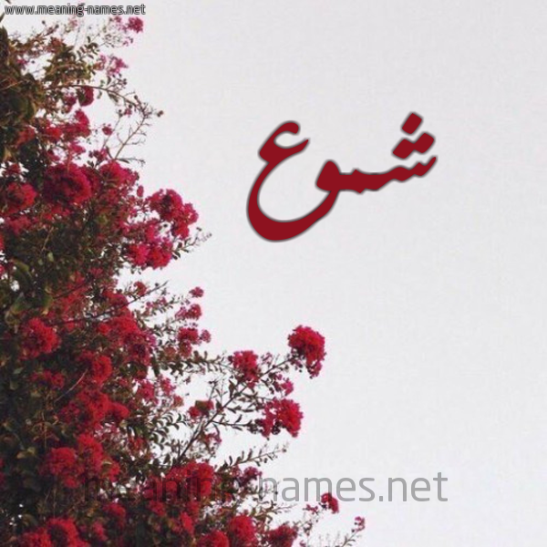 شكل 18 صوره الورد الأحمر للإسم بخط رقعة صورة اسم شموع SHMOA