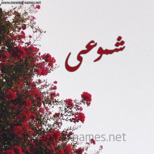 شكل 18 صوره الورد الأحمر للإسم بخط رقعة صورة اسم شموعى Shumoua