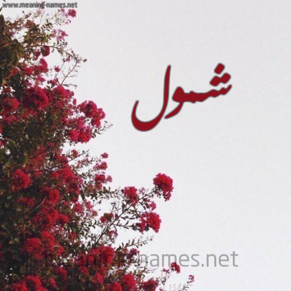 شكل 18 صوره الورد الأحمر للإسم بخط رقعة صورة اسم شمول Shmwl