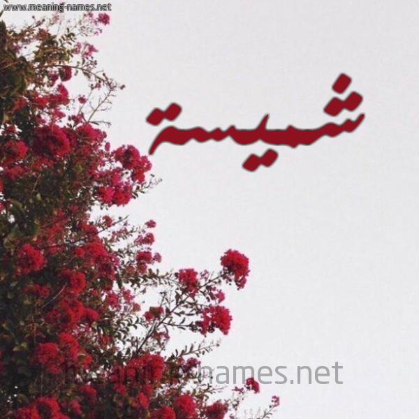 شكل 18 صوره الورد الأحمر للإسم بخط رقعة صورة اسم شميسة Shmys'h