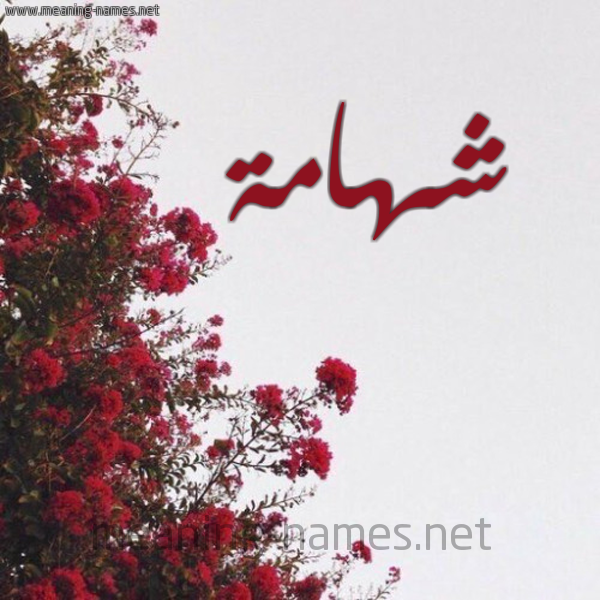 شكل 18 صوره الورد الأحمر للإسم بخط رقعة صورة اسم شهامة Shhamh