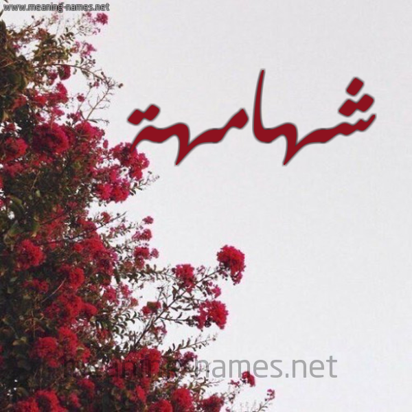 شكل 18 صوره الورد الأحمر للإسم بخط رقعة صورة اسم شهامهة Shehamah