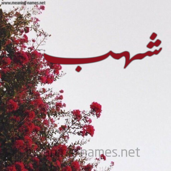 شكل 18 صوره الورد الأحمر للإسم بخط رقعة صورة اسم شهب Shhb
