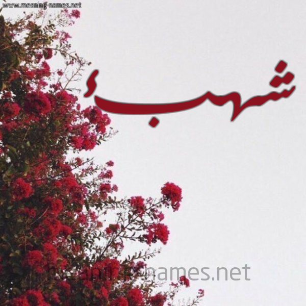 شكل 18 صوره الورد الأحمر للإسم بخط رقعة صورة اسم شهبء Shahab