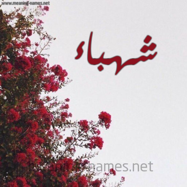 شكل 18 صوره الورد الأحمر للإسم بخط رقعة صورة اسم شهباء Shhbaa