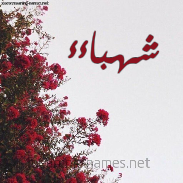شكل 18 صوره الورد الأحمر للإسم بخط رقعة صورة اسم شهباءء Shahbaa