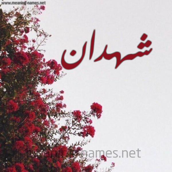 شكل 18 صوره الورد الأحمر للإسم بخط رقعة صورة اسم شهدان Shhdan