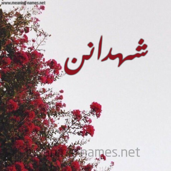 شكل 18 صوره الورد الأحمر للإسم بخط رقعة صورة اسم شهدانن Shahdan