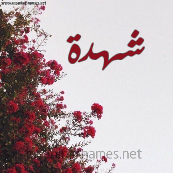 شكل 18 صوره الورد الأحمر للإسم بخط رقعة صورة اسم شهدة Shhd'h