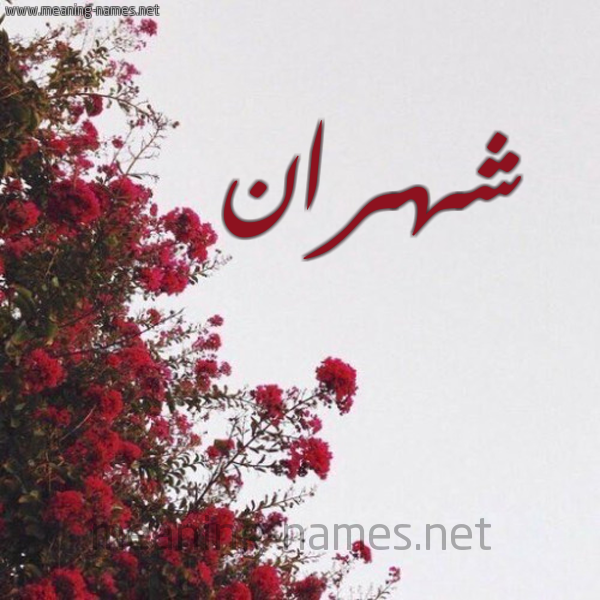 شكل 18 صوره الورد الأحمر للإسم بخط رقعة صورة اسم شهران Shhran
