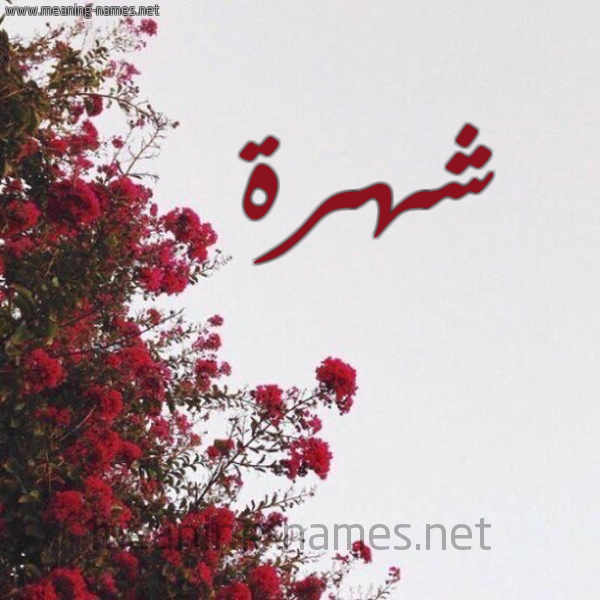 شكل 18 صوره الورد الأحمر للإسم بخط رقعة صورة اسم شهرة Shohra