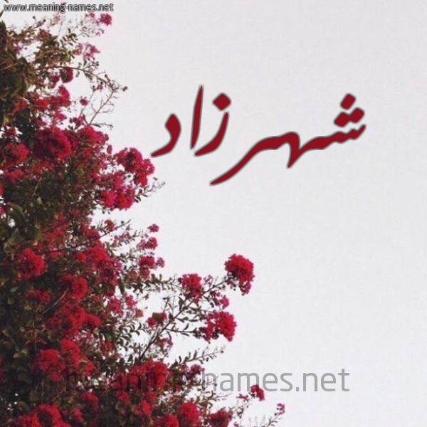 شكل 18 صوره الورد الأحمر للإسم بخط رقعة صورة اسم شهرزاد Chhrzad