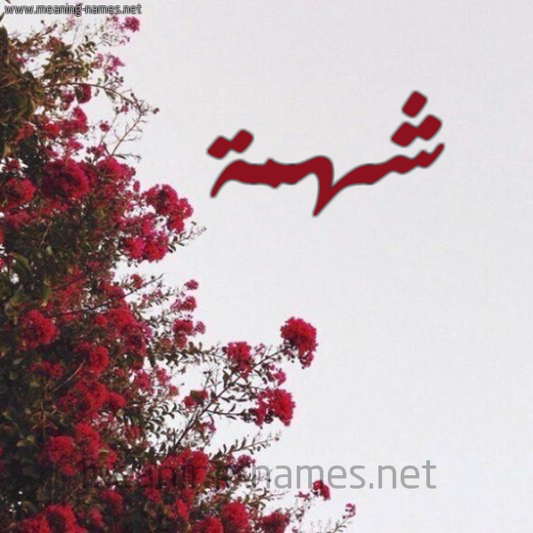 شكل 18 صوره الورد الأحمر للإسم بخط رقعة صورة اسم شهمة Shhmh