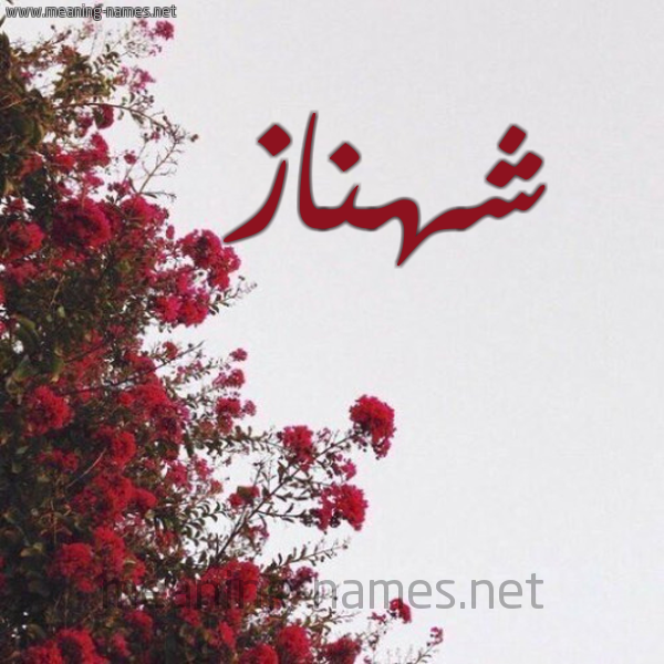 شكل 18 صوره الورد الأحمر للإسم بخط رقعة صورة اسم شهناز Shahnaz