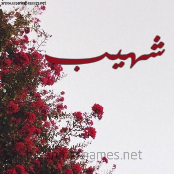 شكل 18 صوره الورد الأحمر للإسم بخط رقعة صورة اسم شهيب SHHIB